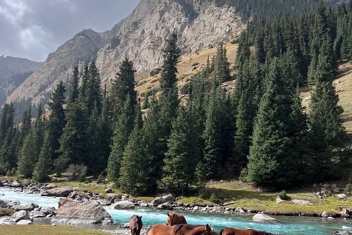 Issyk-Kul in Two Days: Yurts, Eagles & Waterfalls on the Southern Shore photo 2