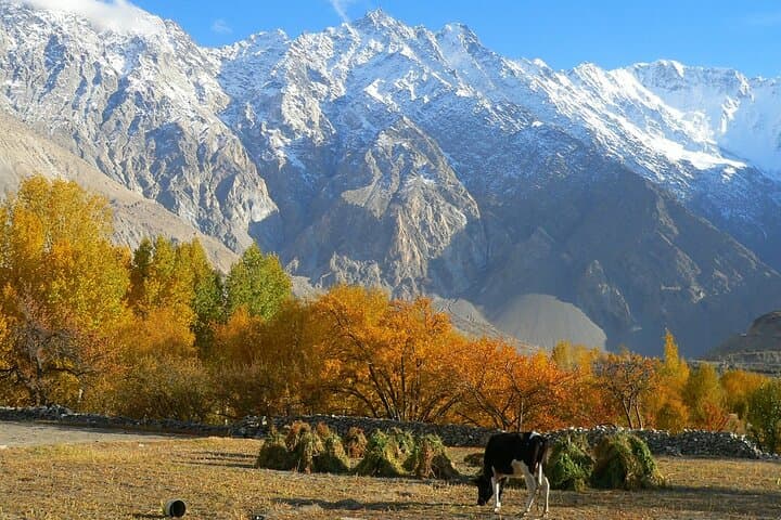 Autumn in North Pakistan: 16-Day Cultural & High-Pass Adventure (2025-26)