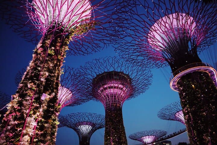 Singapore Private Walking Tour with a Local Guide — Marina Bay to Little India photo 1
