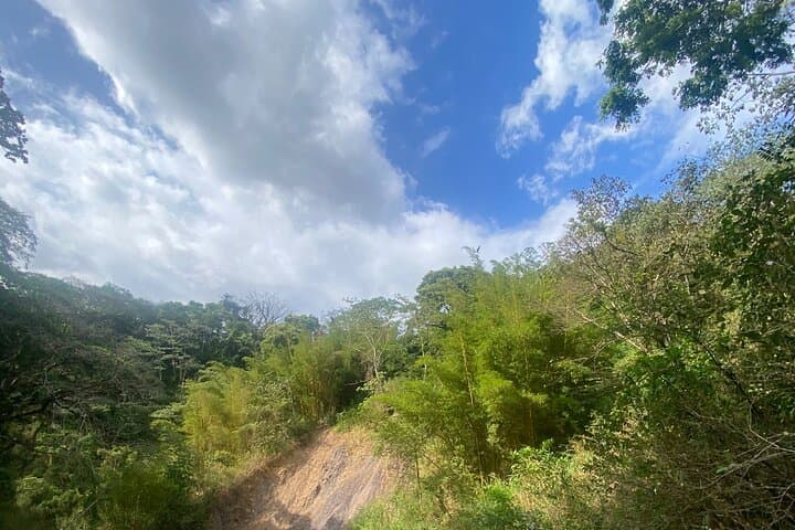 Clothing-Optional Waterfall Hike for Gay Men Near San José photo 2