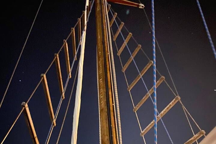 Night Sailing & Starry Skies: Astronomical Tour aboard Perseus XXI in Palma Bay photo 2