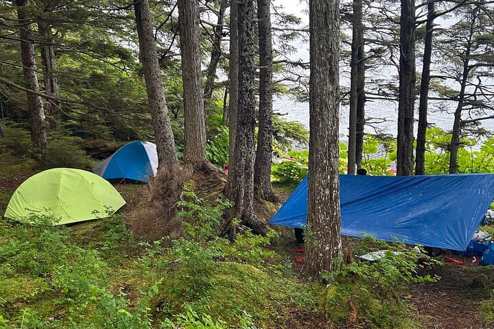 Exploring Sitka, Alaska: Multi-Day Kayak Expedition Through Pristine Wilderness photo 6