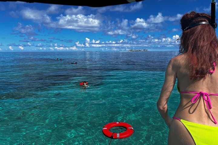 Nassau Catamaran Snorkel & Gilligan's Island Beach Day with Turtles photo 4