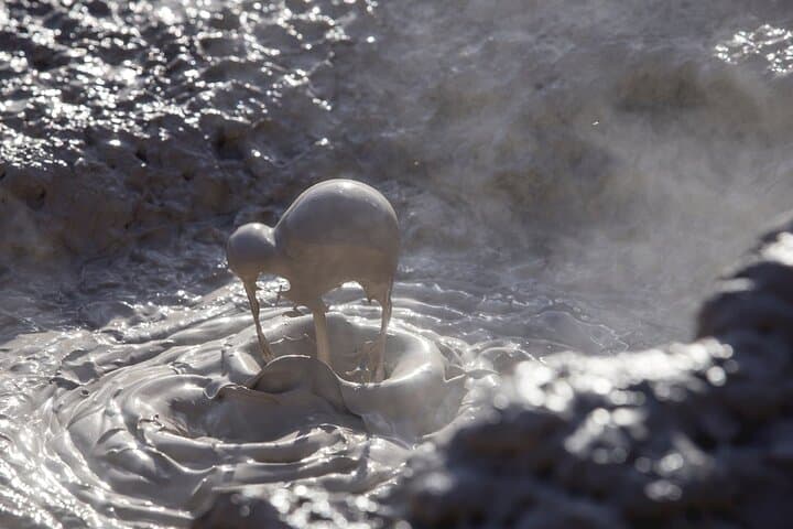 Te Puia Rotorua: Geothermal Wonders, Māori Performance and Kiwi Conservation photo 5