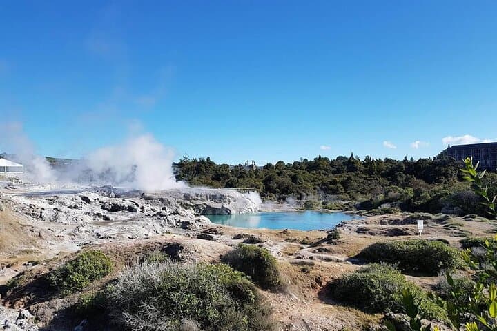 Whakarewarewa Māori Village & Geothermal Valley Rotorua Guided Tour photo 2