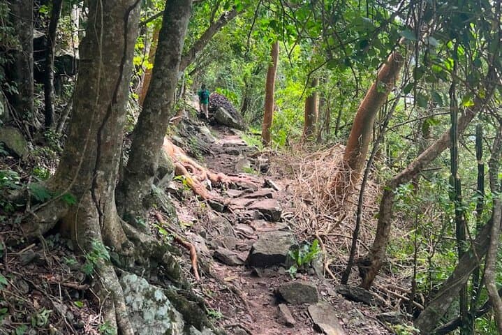 Gros Piton Hike: Private Summit Tour & Scenic Views in St. Lucia photo 4