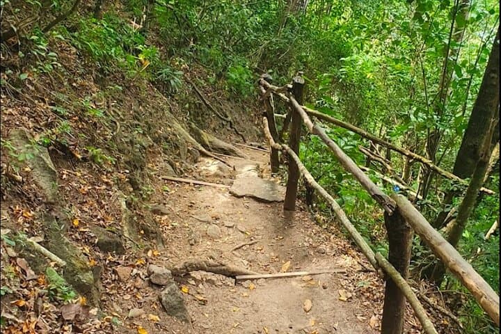 Gros Piton Hike: Private Summit Tour & Scenic Views in St. Lucia photo 5