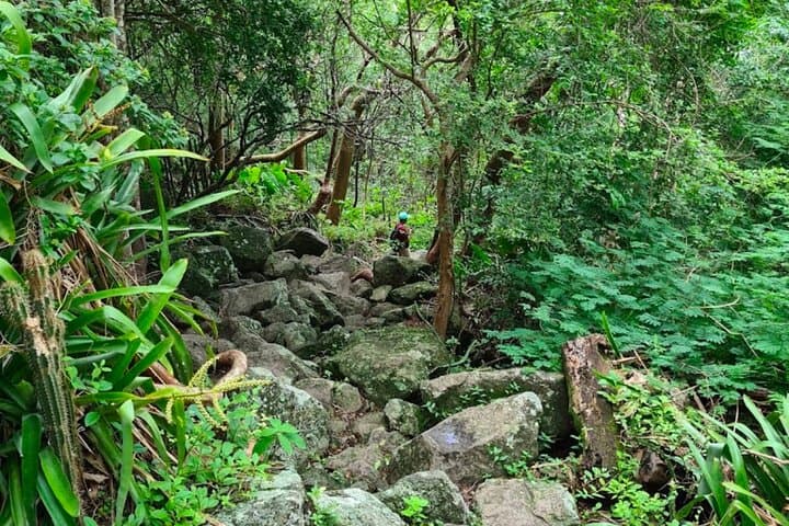 Gros Piton Hike: Private Summit Tour & Scenic Views in St. Lucia photo 6