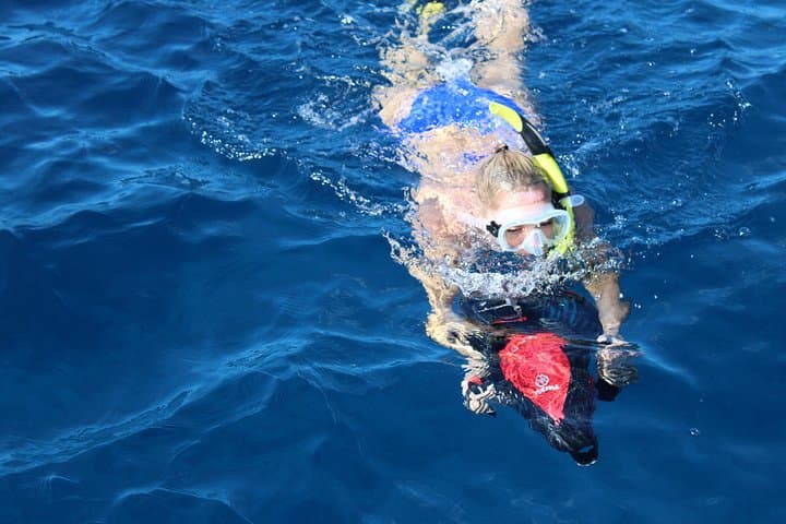 Sea-Scooter Snorkel to Lanai: Half-Day Guided Tour from Kaanapali photo 2