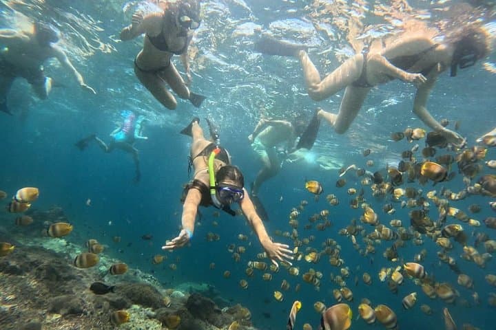 Private Bali Horse Ride and Snorkeling at Blue Lagoon with Lunch photo 3