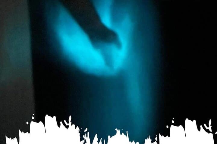 Manialtepec Lagoon Bioluminescence Swim — Night Boat & Star Tour from Puerto Escondido photo 3