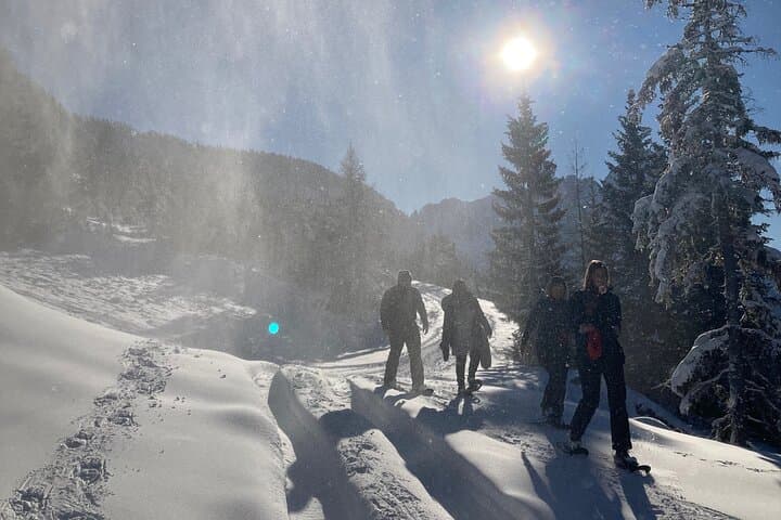 Guided Snowshoe Hike Near Zugspitze from Ehrwald photo 4