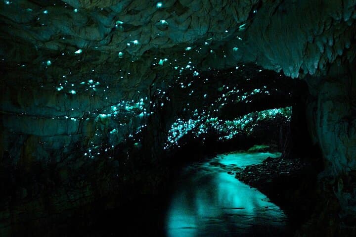 Hobbiton & Waitomo Caves Day Tour — Middle‑earth Movie Set and Glowworm Cavern Guide photo 6
