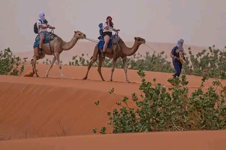 Erg Chigaga Overnight: Nomad Bivouac from M'Hamid — 2-Day Desert Experience photo 4