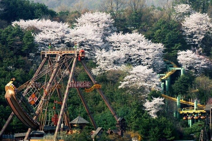 Everland Theme Park: Visitor Guide to Rides, Shows & Getting There photo 5