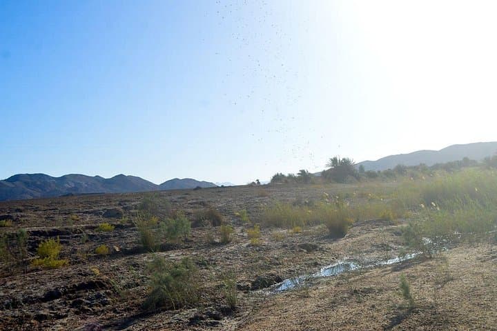 Hurghada Jeep Safari to Oasis: Bedouin Visit, Shell Rock Canyon & Sunset photo 3