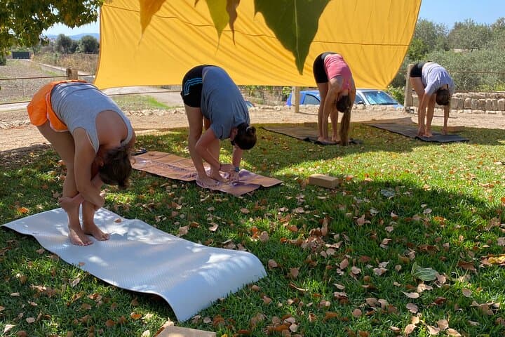Private Yoga and Meditation Day Retreat in Mallorca's Serra de Tramuntana photo 3