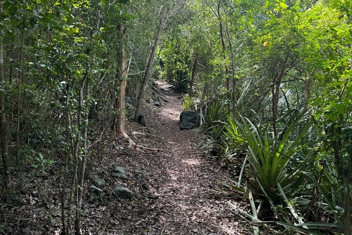 Mount Alma Hike and Secluded Beach Excursion — Tortola's 360° View and Quiet White Sand photo 5
