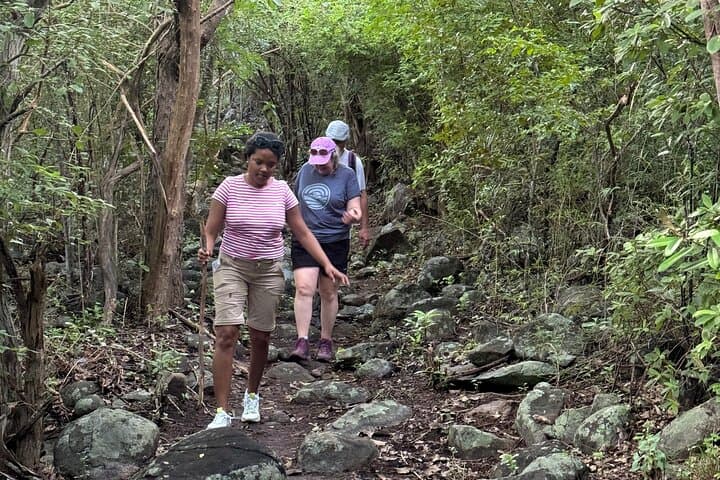 Mount Alma Hike and Secluded Beach Excursion — Tortola's 360° View and Quiet White Sand photo 6