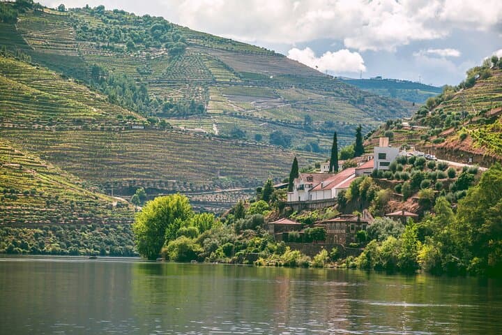 Douro Valley Wine Tasting, Boat Cruise & Lunch from Porto photo 2