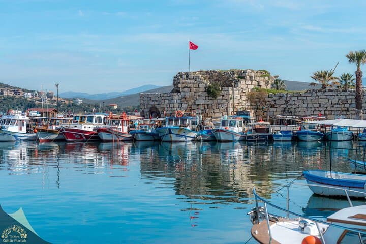 Teos Ancient City and Sığacık Castle Guided Walking Tour — Aegean History and Views photo 2