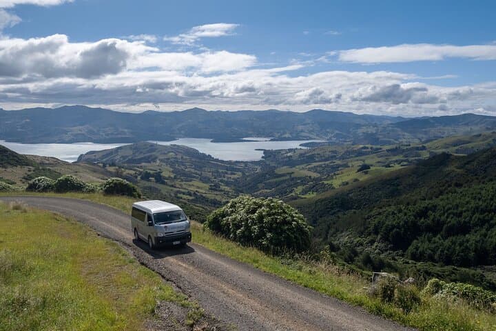 Akaroa Nature and History Private Tour with Seventh Generation Guide photo 2