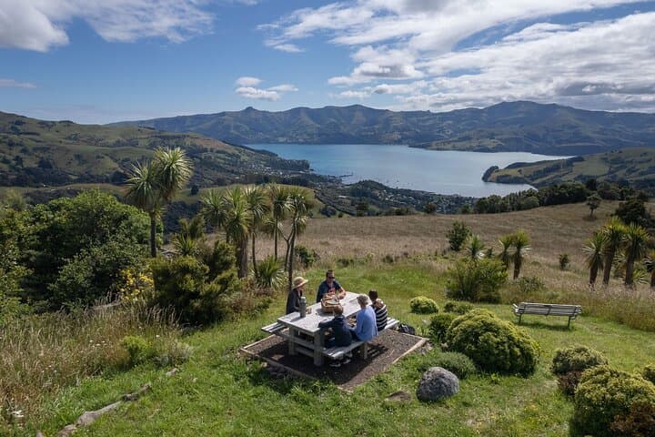 Akaroa Nature and History Private Tour with Seventh Generation Guide