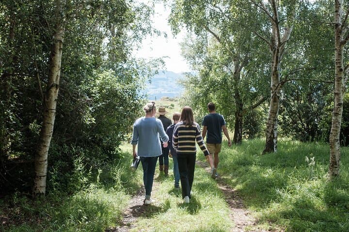 Akaroa Nature and History Private Tour with Seventh Generation Guide photo 5