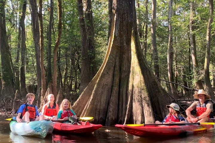 Paddle Cedar Creek: Guided Kayak Tours in Congaree National Park
