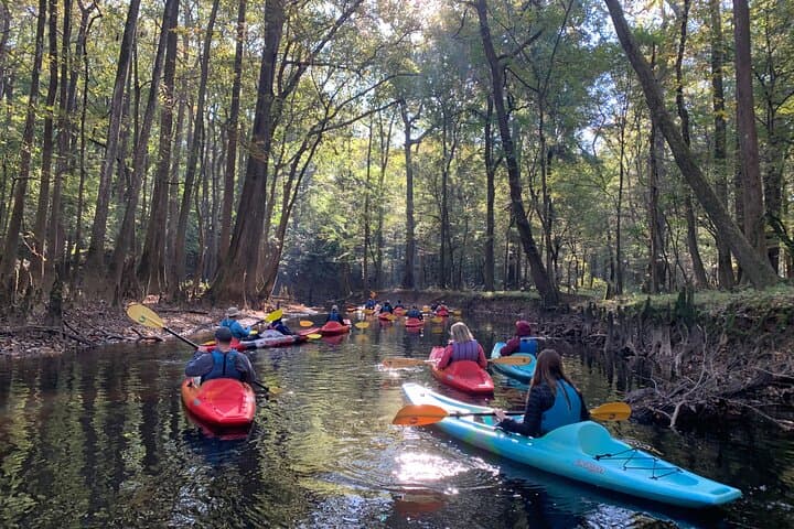 Paddle Cedar Creek: Guided Kayak Tours in Congaree National Park photo 2