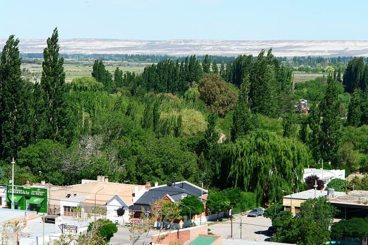 Trelew & Gaiman Shore Excursion: Paleontology, Welsh Tea and Lower Chubut Valley from Puerto Madryn photo 6