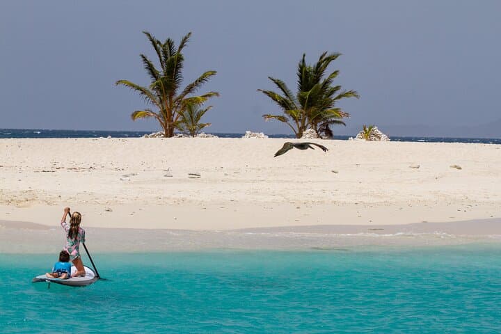 Sailing Jost Van Dyke: White Bay, Sandy Spit & Soggy Dollar Day Sail photo 4