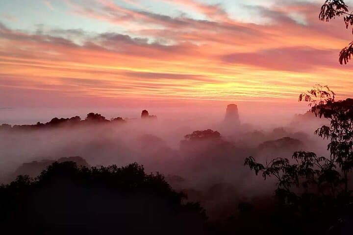 Tikal Day Tour: Explore Ancient Maya Temples from Flores photo 2