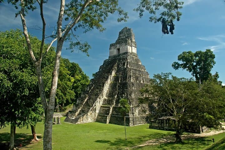 Tikal Day Tour: Explore Ancient Maya Temples from Flores photo 4