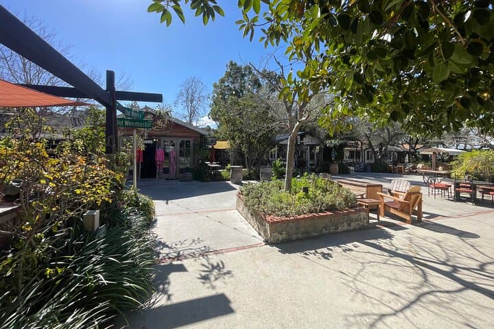 Private San Diego County Wine Tour: Escondido & San Pasqual Valley Wineries photo 5