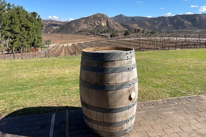 Private San Diego County Wine Tour: Escondido & San Pasqual Valley Wineries photo 6