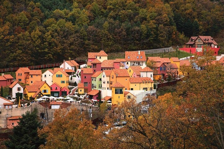 Nami Island, Petite France & Italian Village Day Trip from Seoul — Highlights and Tips