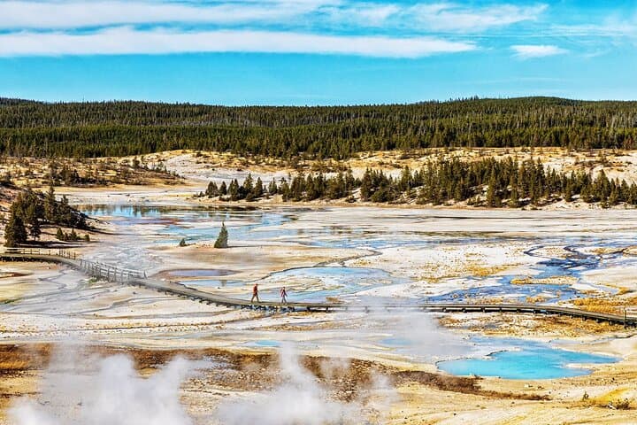 Yellowstone Upper Loop Full-Day Tour from Bozeman: Norris, Mammoth, Lamar & Canyon photo 6