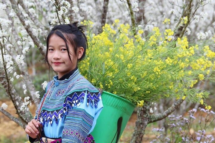 Mai Chau and Moc Chau 2-Day Village, Tea-Farm & River Canoe Adventure
