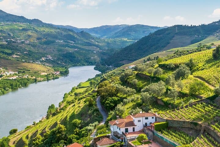 Douro Valley River Cruise: 9-Day Portugal & Spain Wine Journey from Porto photo 2
