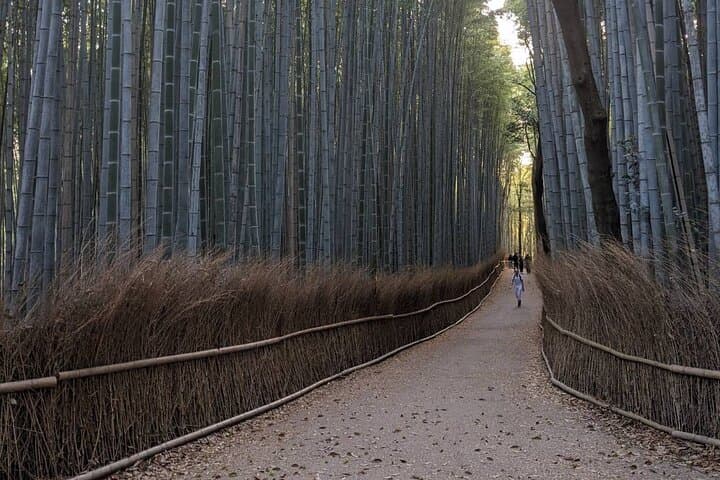 Zen Run in Arashiyama — Guided Scenic Jog Through Kyoto’s Bamboo Grove and Temples