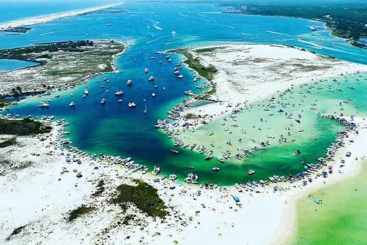 Luxury Pontoon Rental: Explore Pensacola Waters to Sand Island & Dolphin Spots photo 3