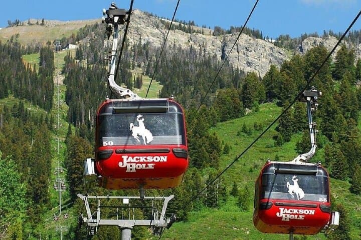 Yellowstone & Grand Teton: 4-Day Guided Adventure from Salt Lake City photo 4