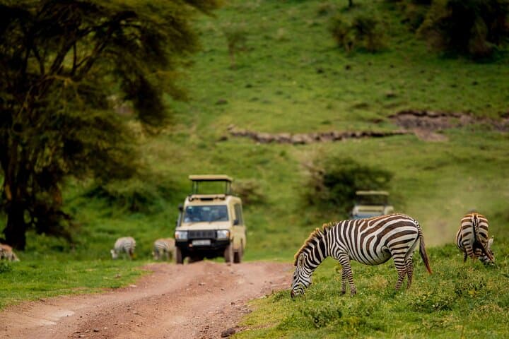 Budget 3-Day Private Lodge Safari: Tarangire, Ngorongoro & Lake Manyara photo 1