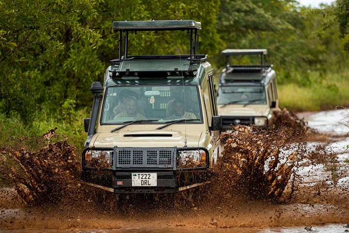 Private Mid-Range Safari: Tarangire, Serengeti & Ngorongoro (5 Days) photo 6