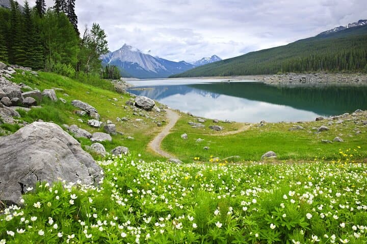 Explore Jasper National Park: Self-Guided Driving Audio Tour Highlights & Planning Tips photo 2