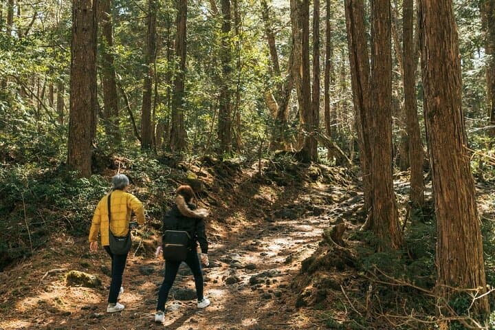Private Mt. Fuji Hidden Gems & Aokigahara Forest Tour - Custom 10-Hour Experience