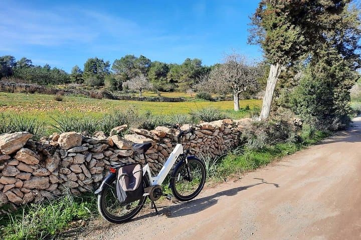 Discover Ibiza by E-Bike: Santa Gertrudis Village Tour photo 1