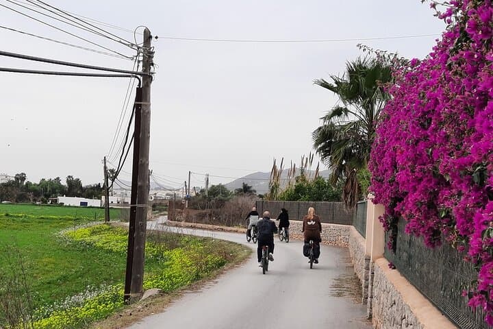 Discover Ibiza by E-Bike: Santa Gertrudis Village Tour photo 2