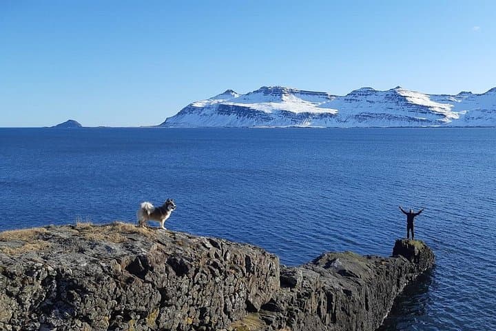 Holmanes Nature Reserve Hike — East Iceland Coastal Walk to Hólmatindur photo 4
